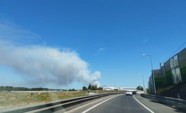 incendio-em-amor-ja-mobiliza-seis-meios-aereos-e-mais-de-100-operacionais