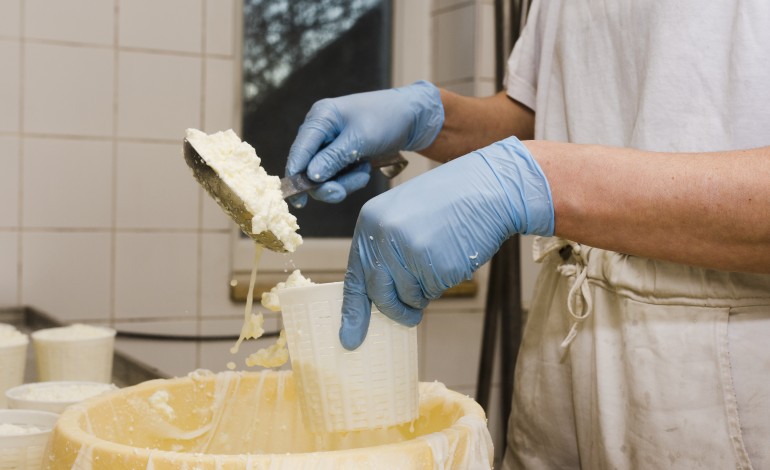 produtores-de-leite-para-queijo-rabacal-asfixiados-com-custos-de-producao