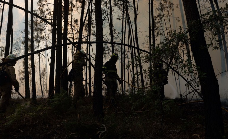 casas-queimadas-e-aldeias-evacuadas-em-alvaiazere