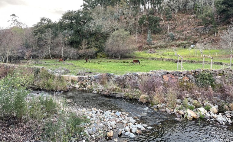 figueiro-dos-vinhos-tem-novos-14-condominios-de-aldeia-aprovados-pelo-fundo-ambiental