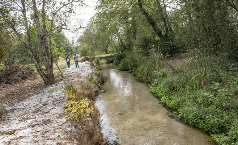 cidadaos-de-porto-longo-em-monte-redondo-poem-maos-a-obra-e-cuidam-de-ribeiros